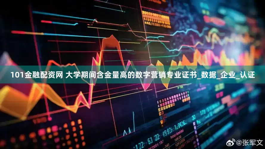 101金融配资网 大学期间含金量高的数字营销专业证书_数据_企业_认证